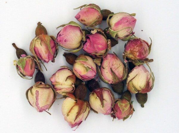 Rose Buds Pink